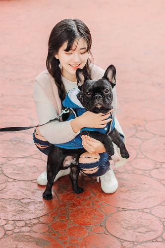 中文在线股票股吧