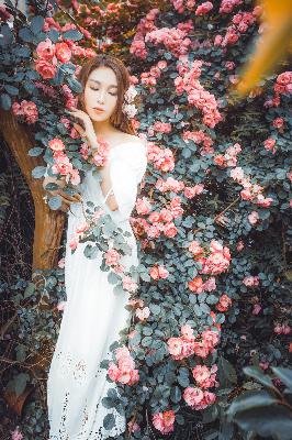 偷偷藏不住 电视剧