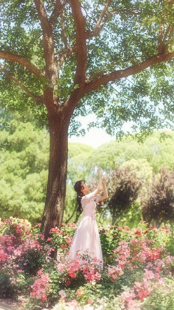 北上电视剧免费观看全集完整版