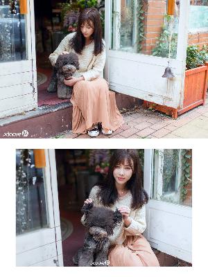 长歌行电视剧免费观看全集