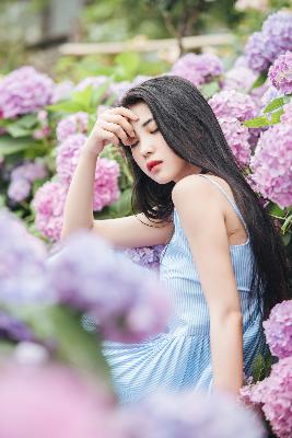 红果剧场电视剧大全