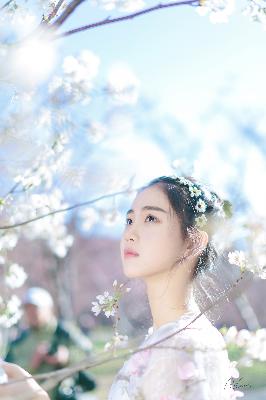 长歌行电视剧免费观看全集