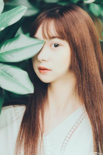 挣扎吧亚当君在线观看免费全集