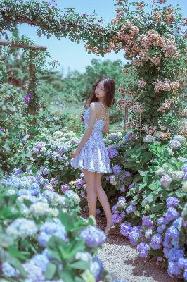 嫡女母狗骑木马苏婉是哪部小说