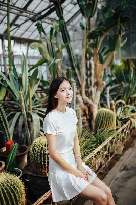 高清视频免费观看