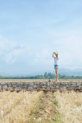 凤凰台上电视剧免费观看