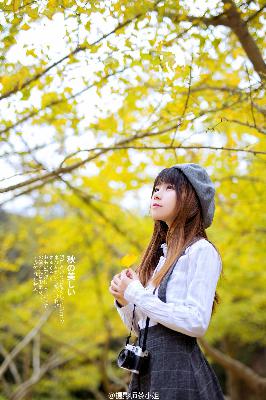 继承者们电视剧全集免费观看