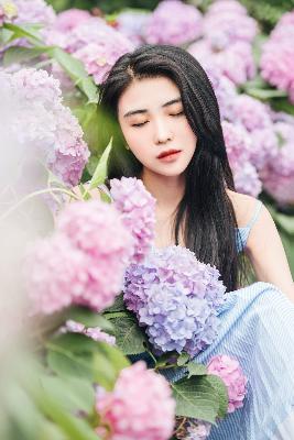 樱花动漫官方网站入口动漫游戏评测