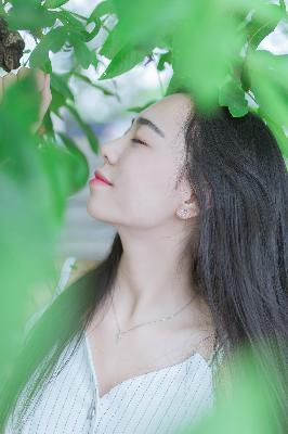 山河令电视剧全集在线观看完整版