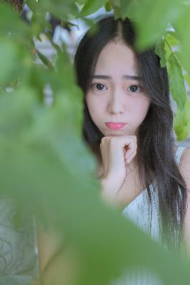 国产免费高清观看电视剧