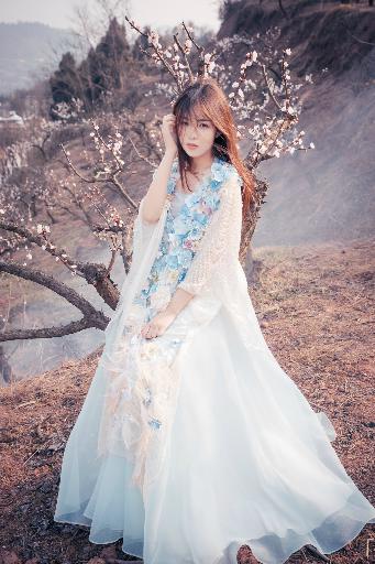 电影荷兰姑娘们