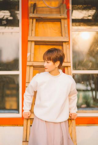 藏海花电视剧免费观看完整版