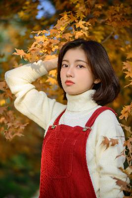 免费高清在线观看完整电影