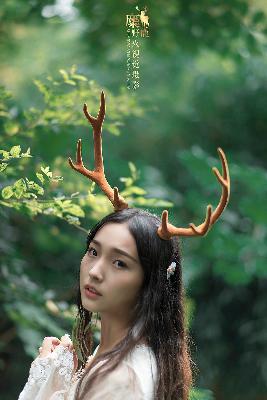 会长是女仆大人动漫完整版