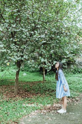 遇见王沥川电视剧免费观看全集