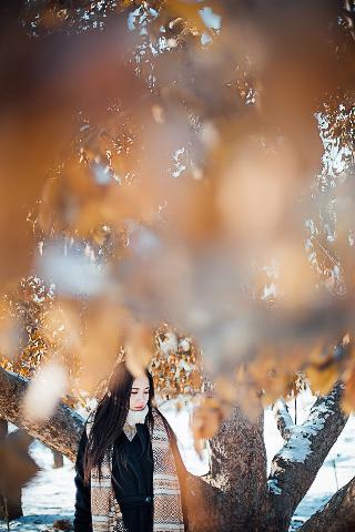 天天看高清影视在线官网