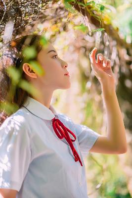 国产免费观看高清电视剧帅哥