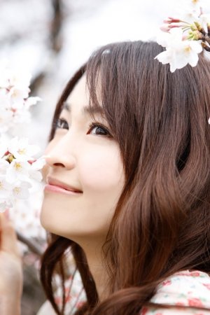 美女免费高清版电视剧在线播放