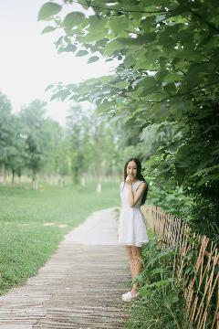 一笑随歌 电视剧