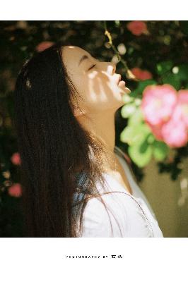 国产免费完整高清电视剧在线看倚天