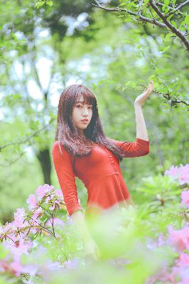 糖果VLOG黑椒盖饭