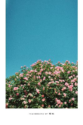 书卷一梦电视剧免费观看完整版