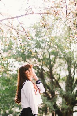 老九门电视剧全集免费观看高清