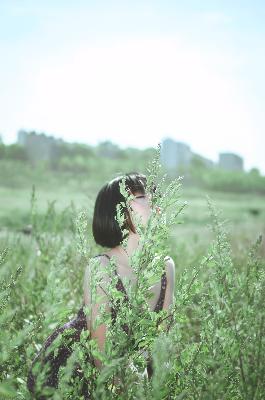 小妇人日本电视剧