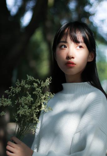 樱花动漫网官方入门网站