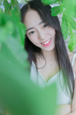 梦想成为魔法少女