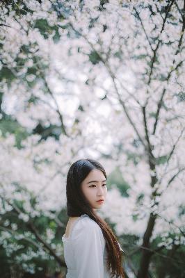 穿进妓院挨肉NP(惑心)