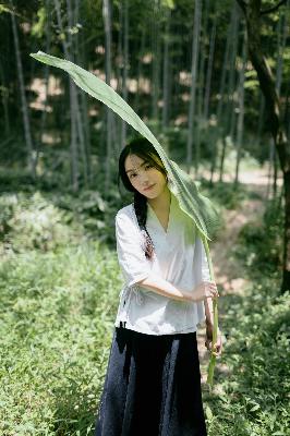 六姊妹电视剧在线观看全集