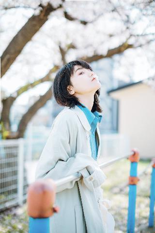 锦绣芳华 电视剧