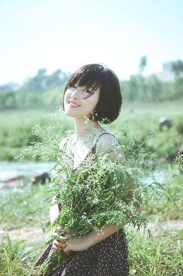 野兽们的战争在线观看免费版