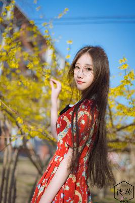 影视大全免费追剧