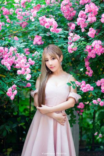 运钞大劫案2025在线观看免费版