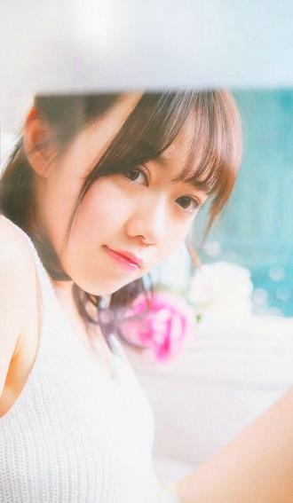 2026正版资料大全免费