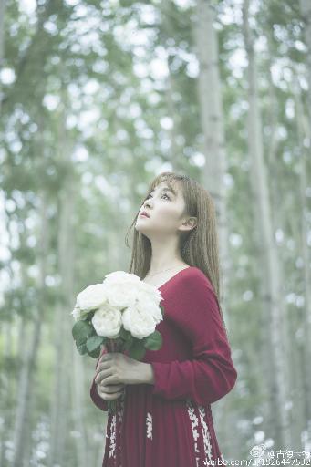 唐朝诡事录第三季