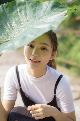 中文免费高清在线观看电视剧全集爱