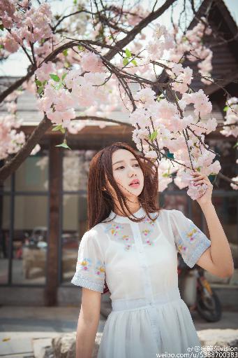 铁血战士:杀戮之地 电影