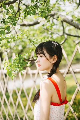 在线观看高清免费完整版电影